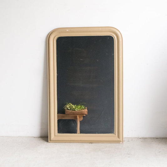 Painted Grande Vintage Louis Philippe Wall Mirror